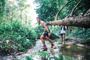 BIB: 
                            <button type="button" onclick="openModal(25436417)" class="btn btn-primary btn-sm float-right btn-popup" data-toggle="modal" data-target=".modal-high-quality">
                        <i class="fas fa-shopping-cart"></i> Add to Cart
                    </button>
                                            <button type="button" onclick="isThisMe(25436417, true)" class="btn btn-success btn-sm float-right btn-popup btn-isme hidden" data-toggle="tooltip" data-placement="bottom" title="นี่คือรูปของคุณใช่ไหม คลิกที่นี่เพื่อเอาเข้าอัลบั้ม">
                        <i class="fas fa-plus"></i> Add to album
                    </button>
                    <button type="button" onclick="isThisMe(25436417, false)" class="btn btn-warning btn-sm float-right btn-popup btn-isnotme hidden">
                        <i class="fas fa-ban"></i> Remove from album
                    </button>